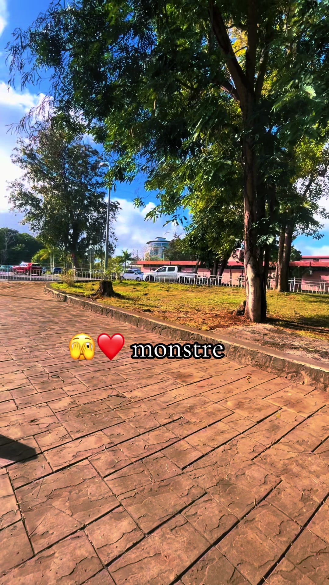 @Shreeya❤️