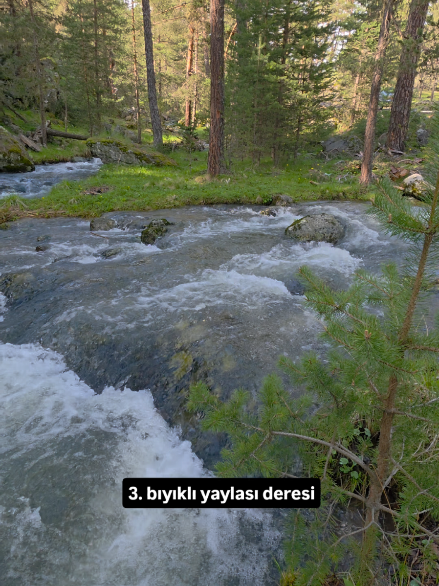 @Muhammed karakuş