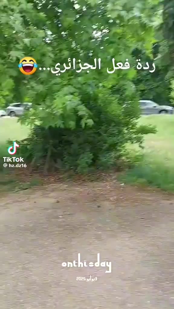 @Hayetam Hayetam
