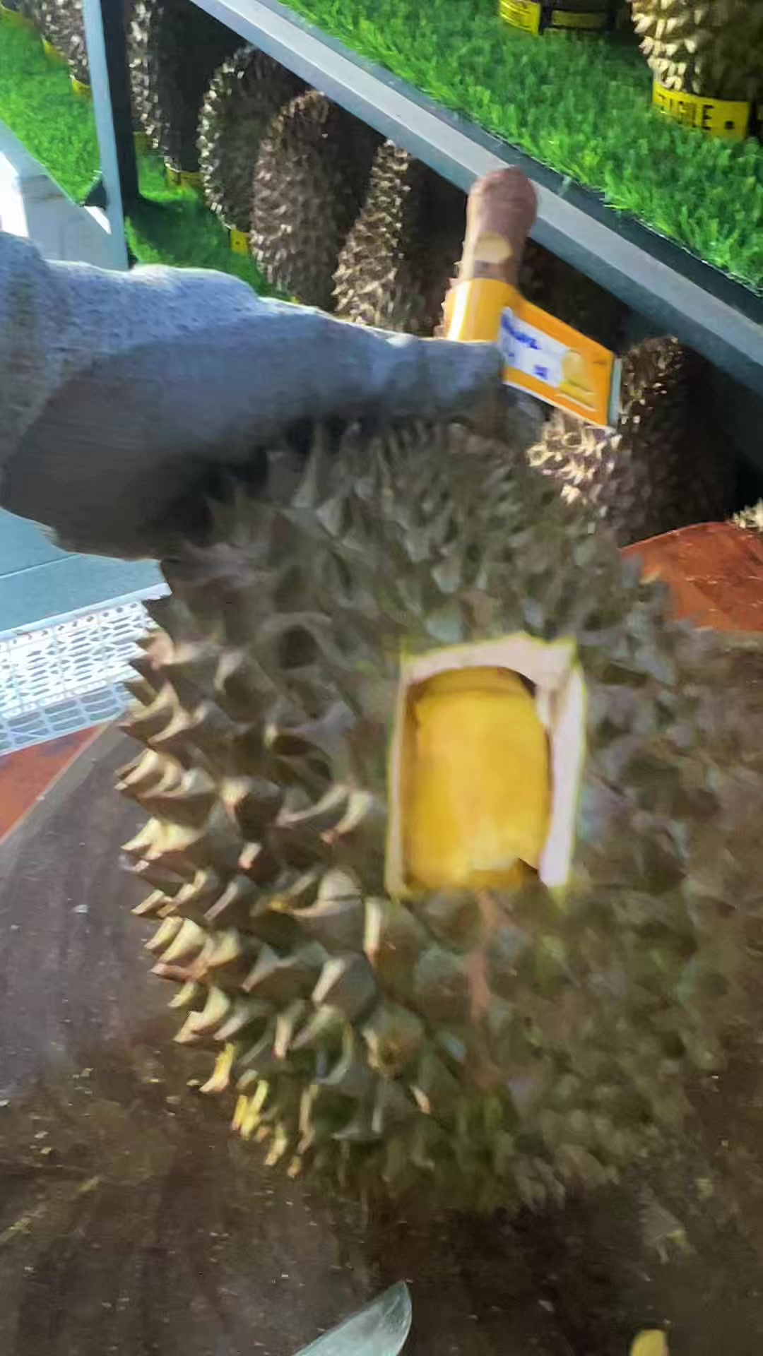 @Cicip Durian