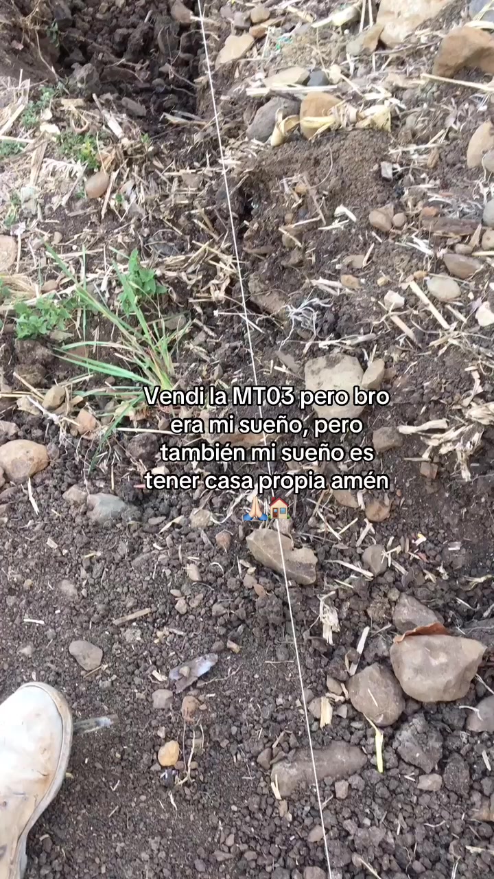@Martinez503🇸🇻