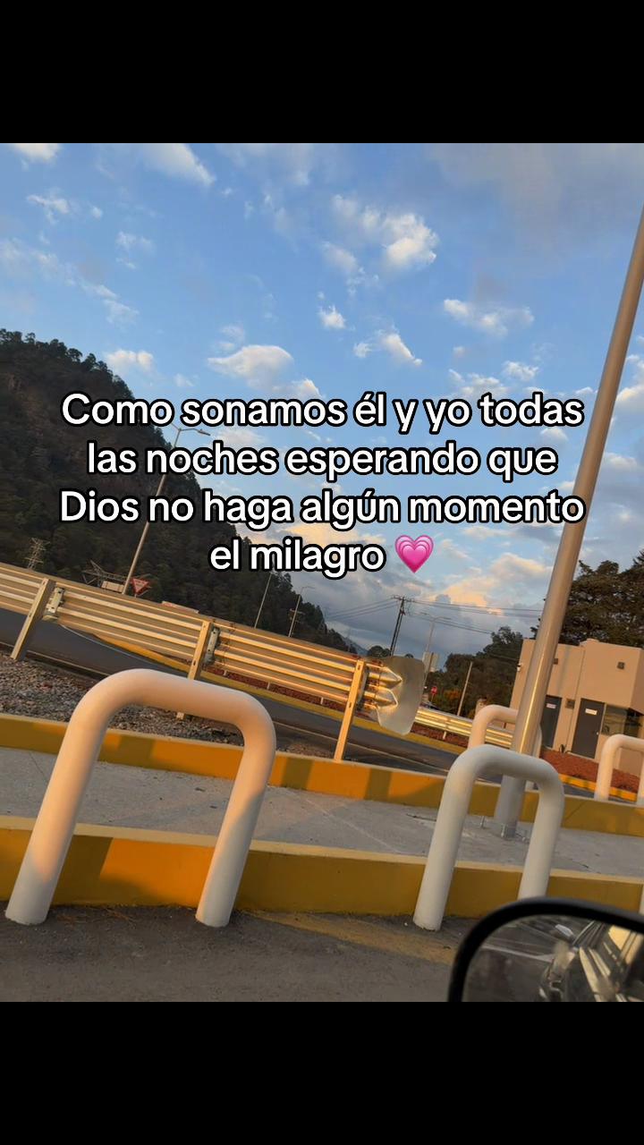 @🌺