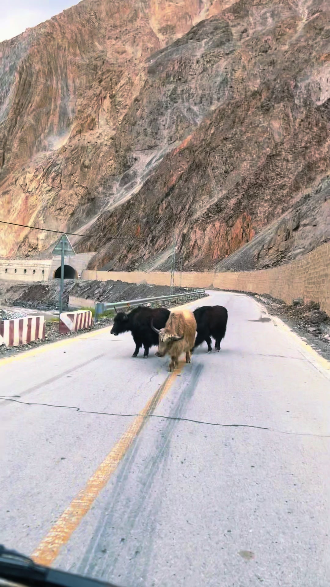 @Gilgit Baltistan Tour Planners