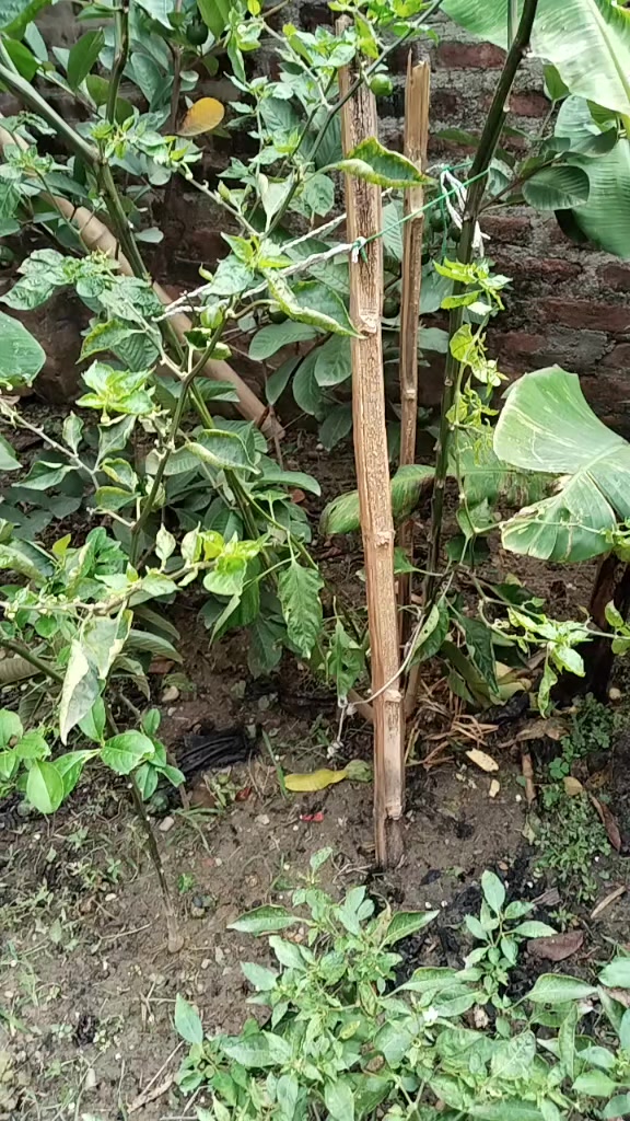 @111@1111