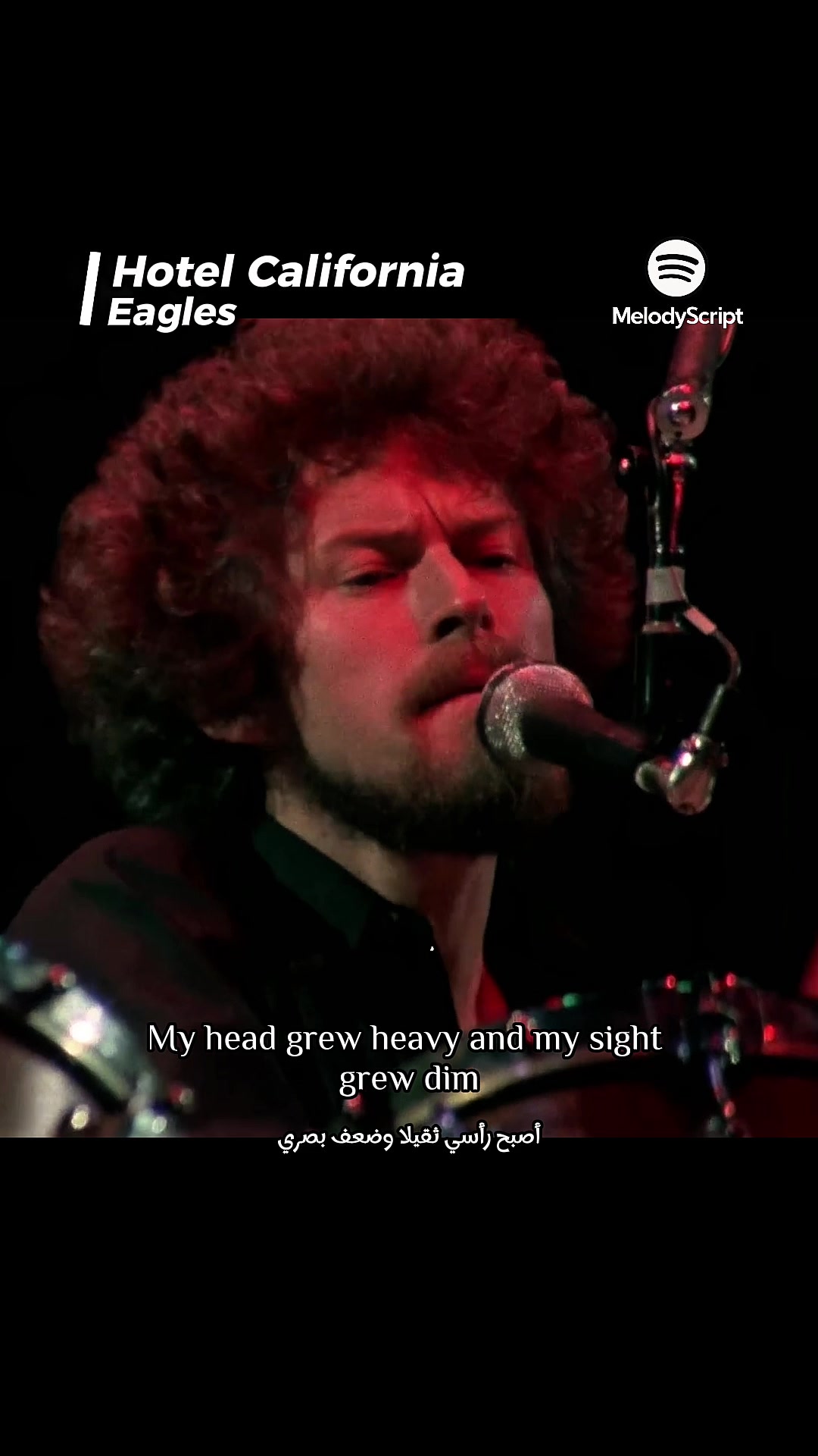@MelodyScript 🎵