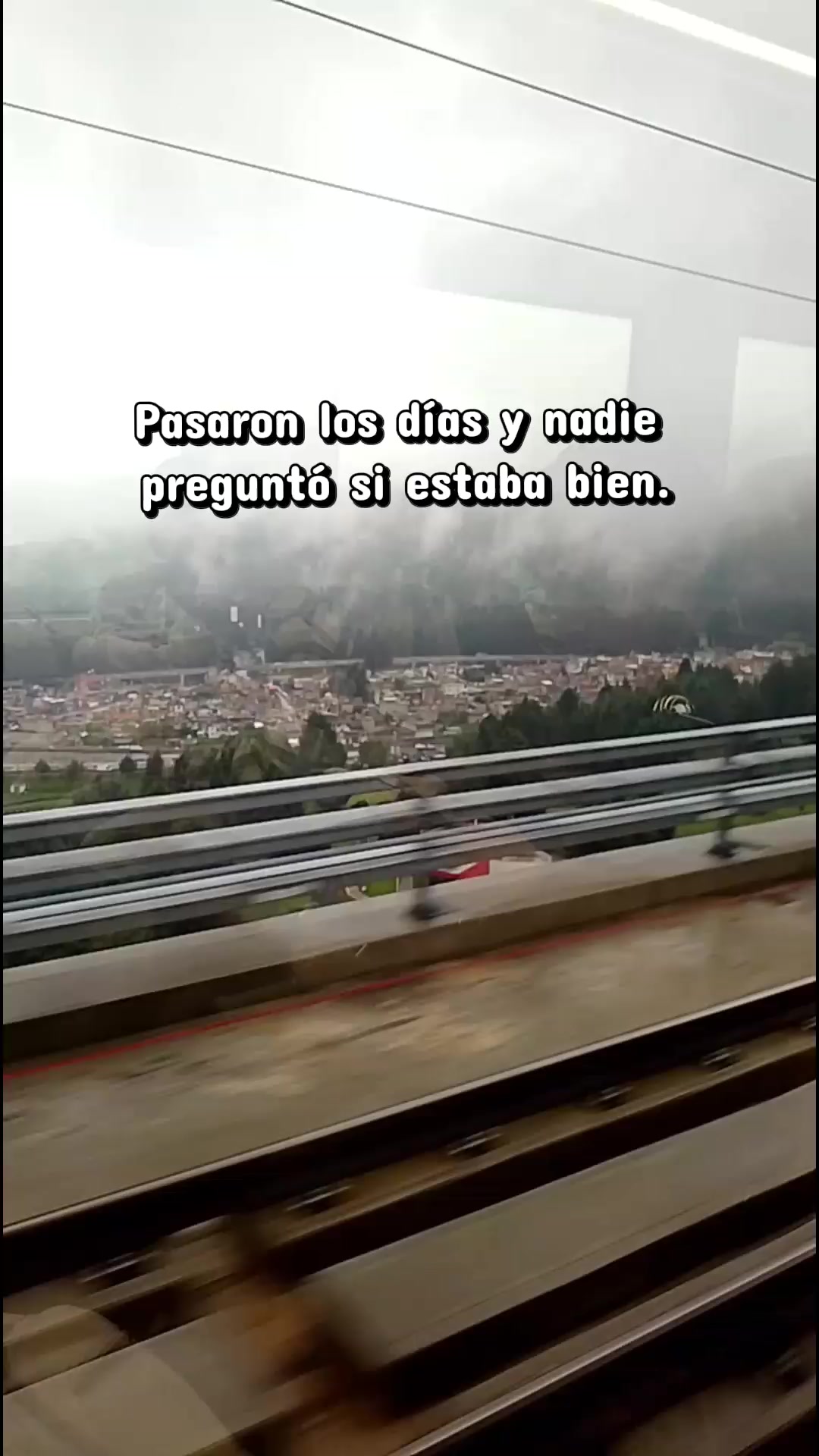@Patricia Loza