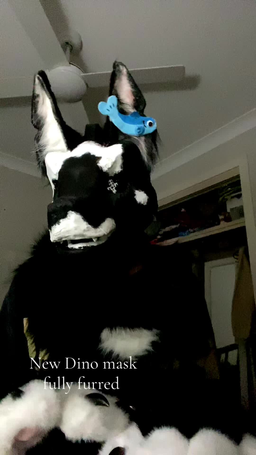 @<Ñįćø>