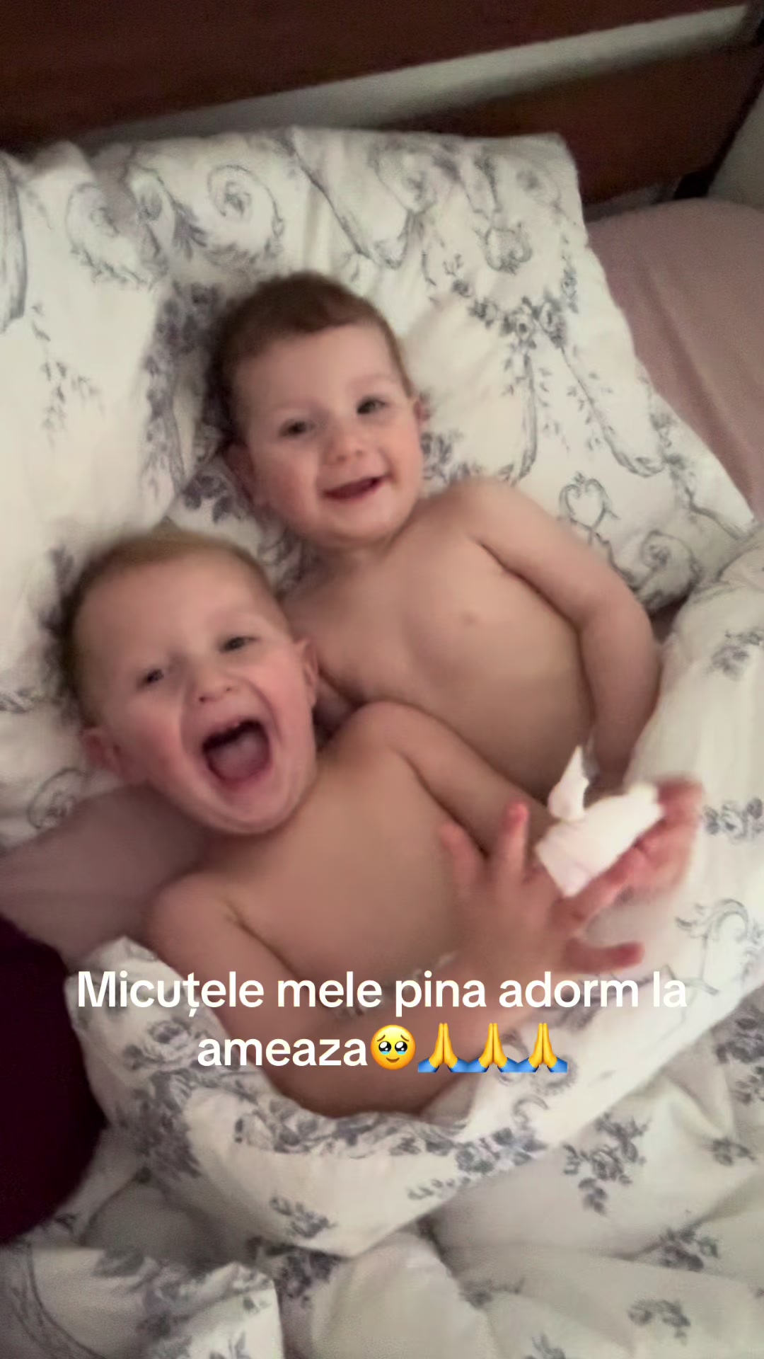 @Alina Cupceanu (Balanici)