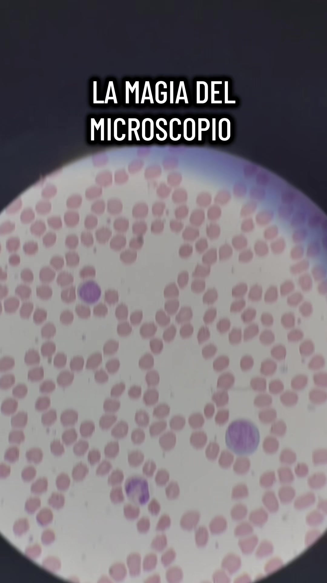 @ALab 🔬💉🩸
