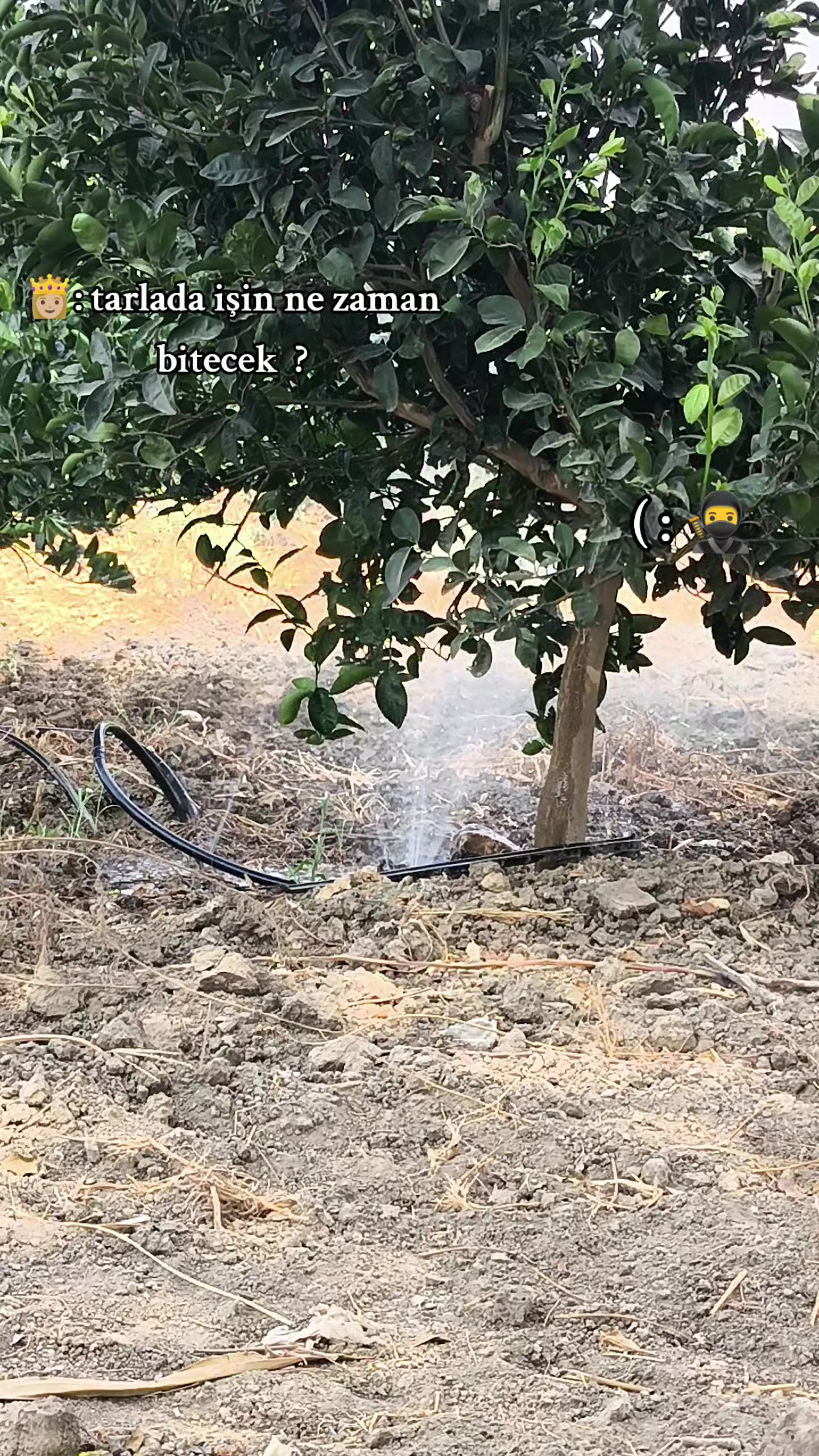 @Barış🥷🏻