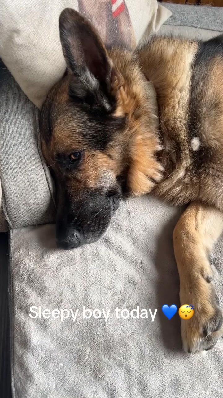 @Sash🐾💙and Mel