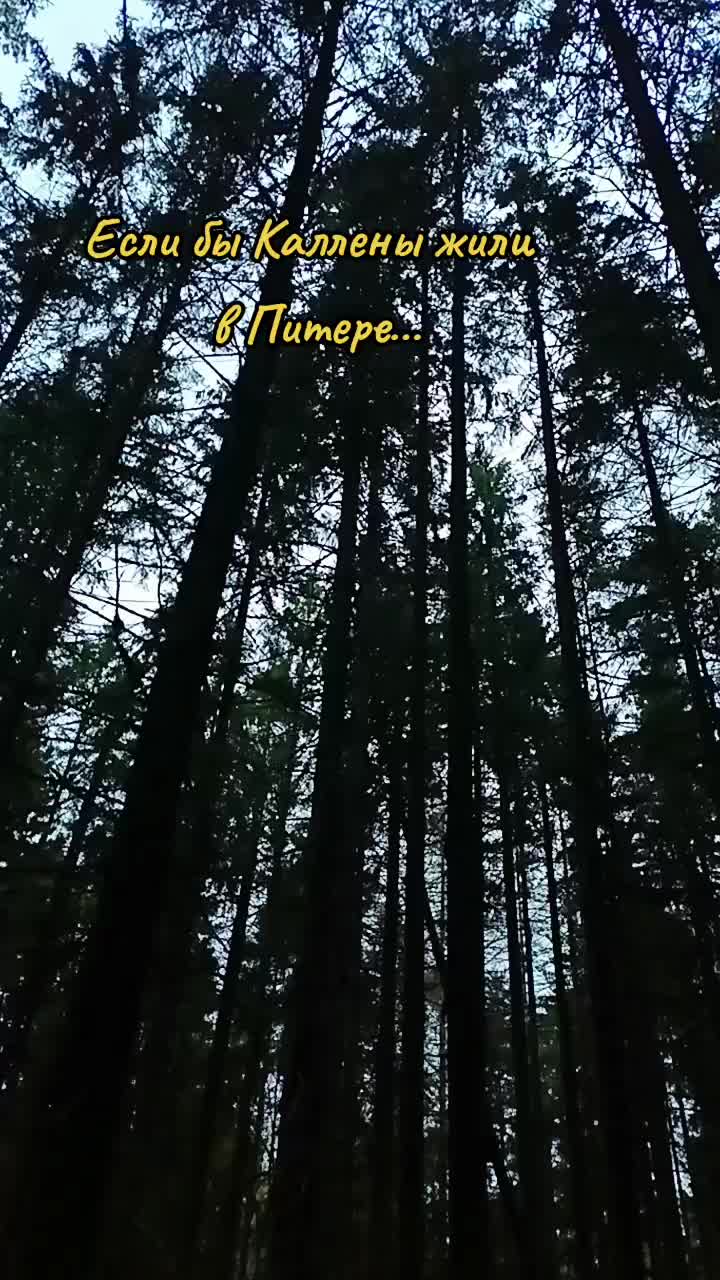 @user2278096979685
