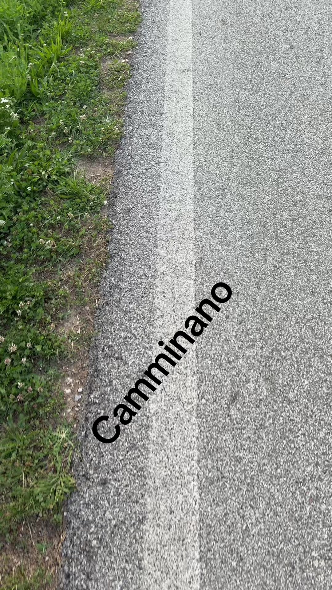 @rosa74