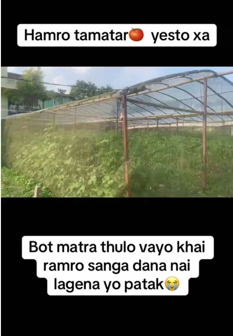 @Poudel Poultry Farm 🐔