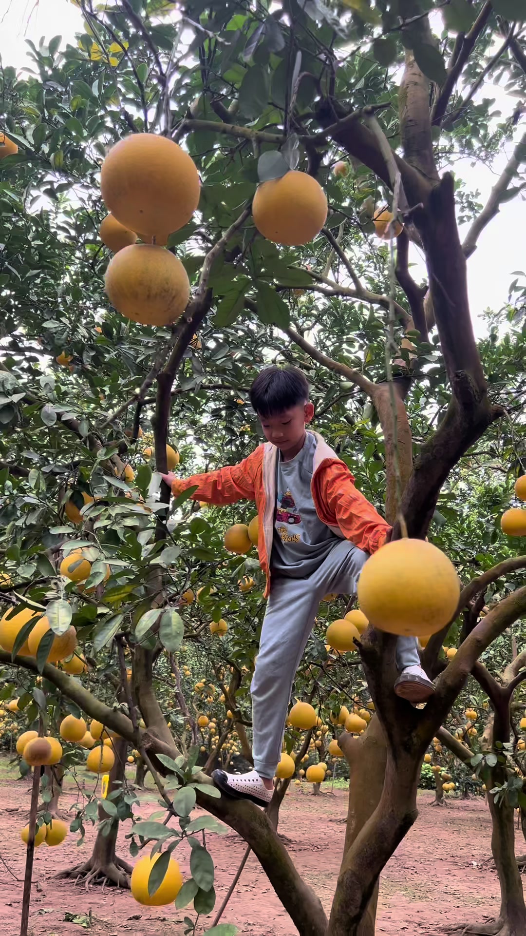 @Hải Đam Mê Du Lịch