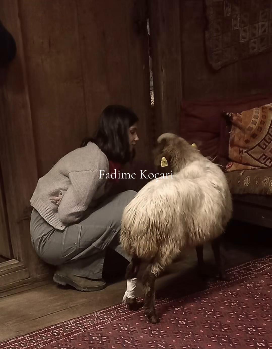 @V