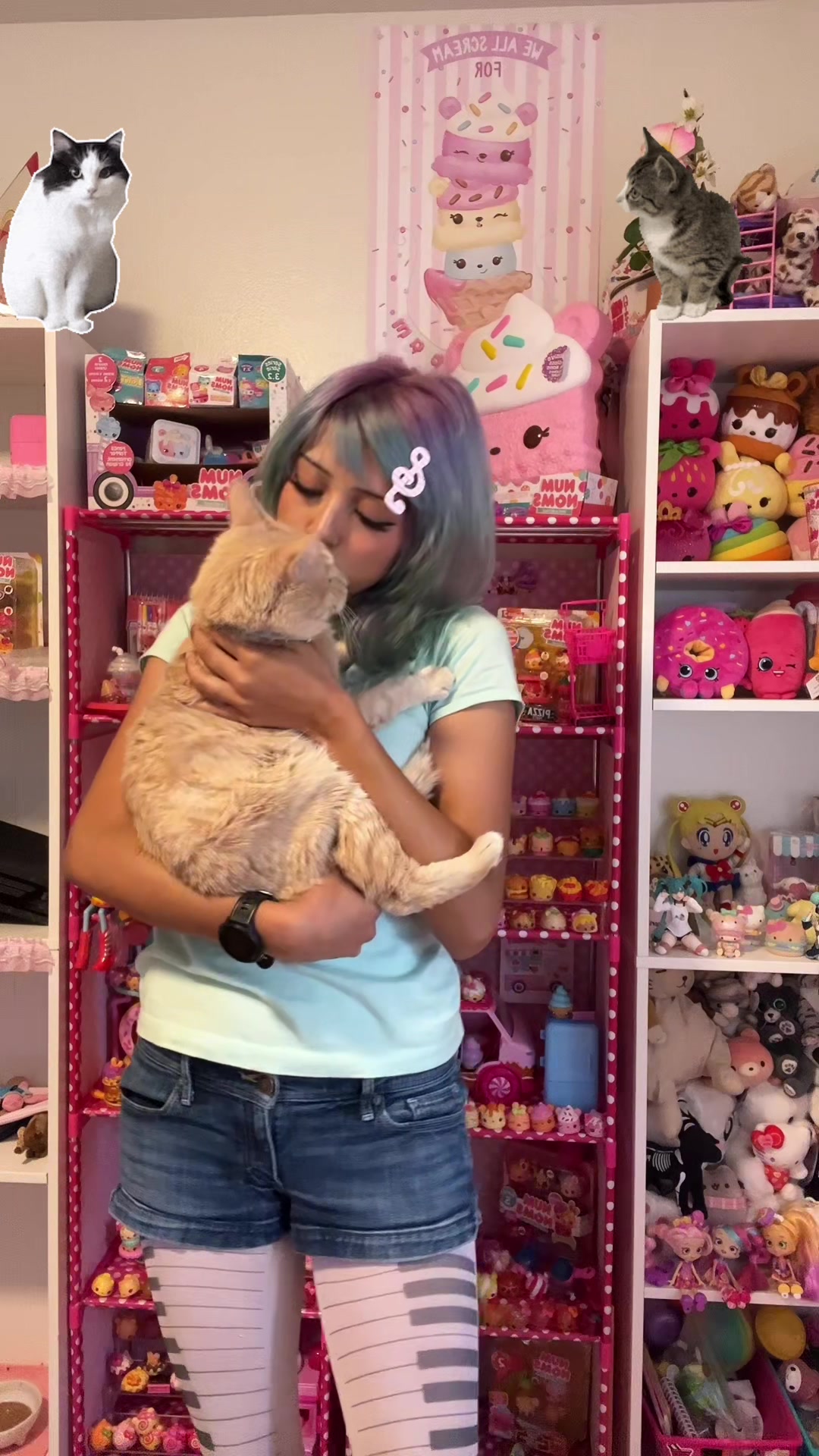 @CupcakeKitten 🧁🐾