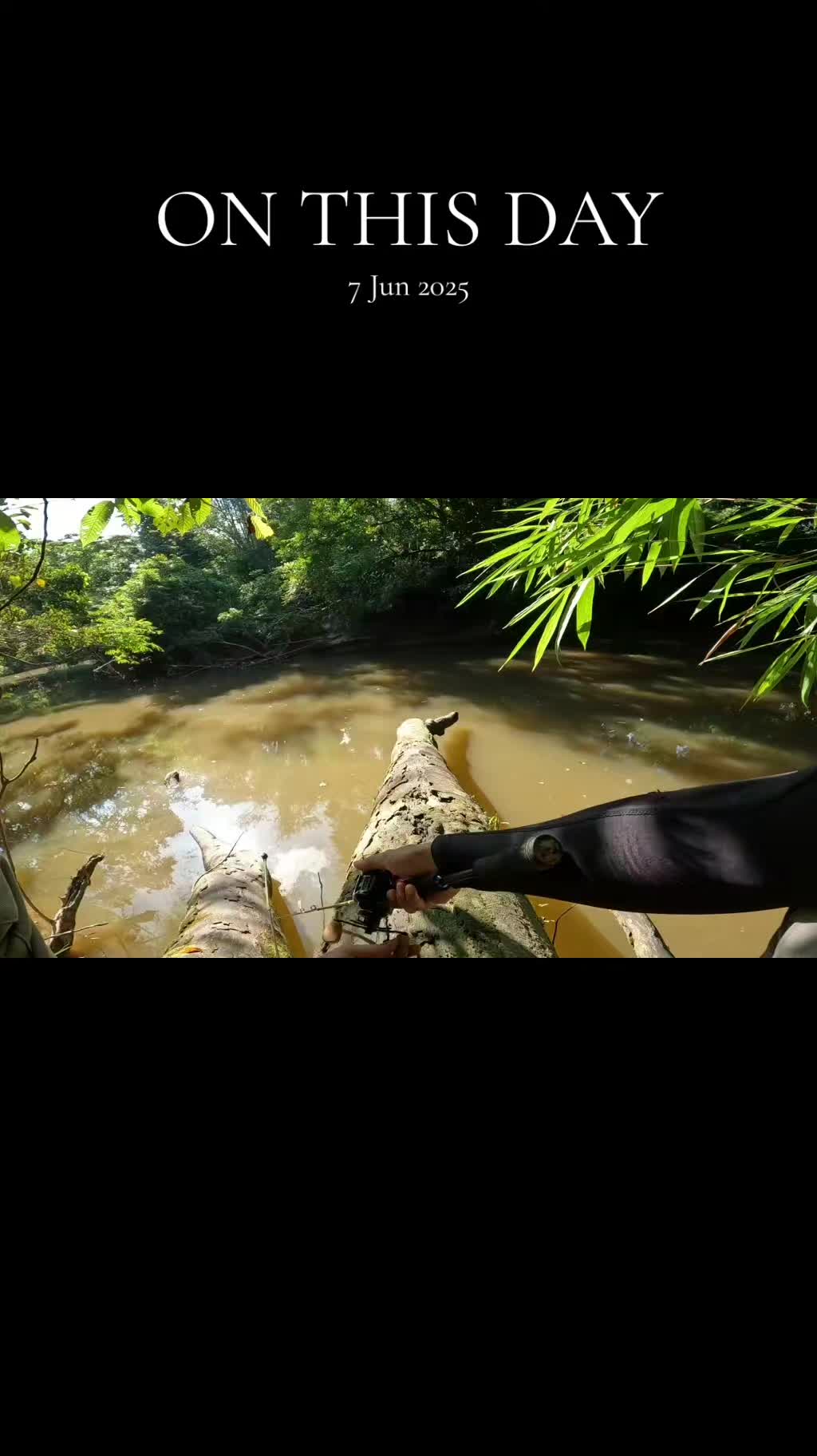@Damz Strike Fishing