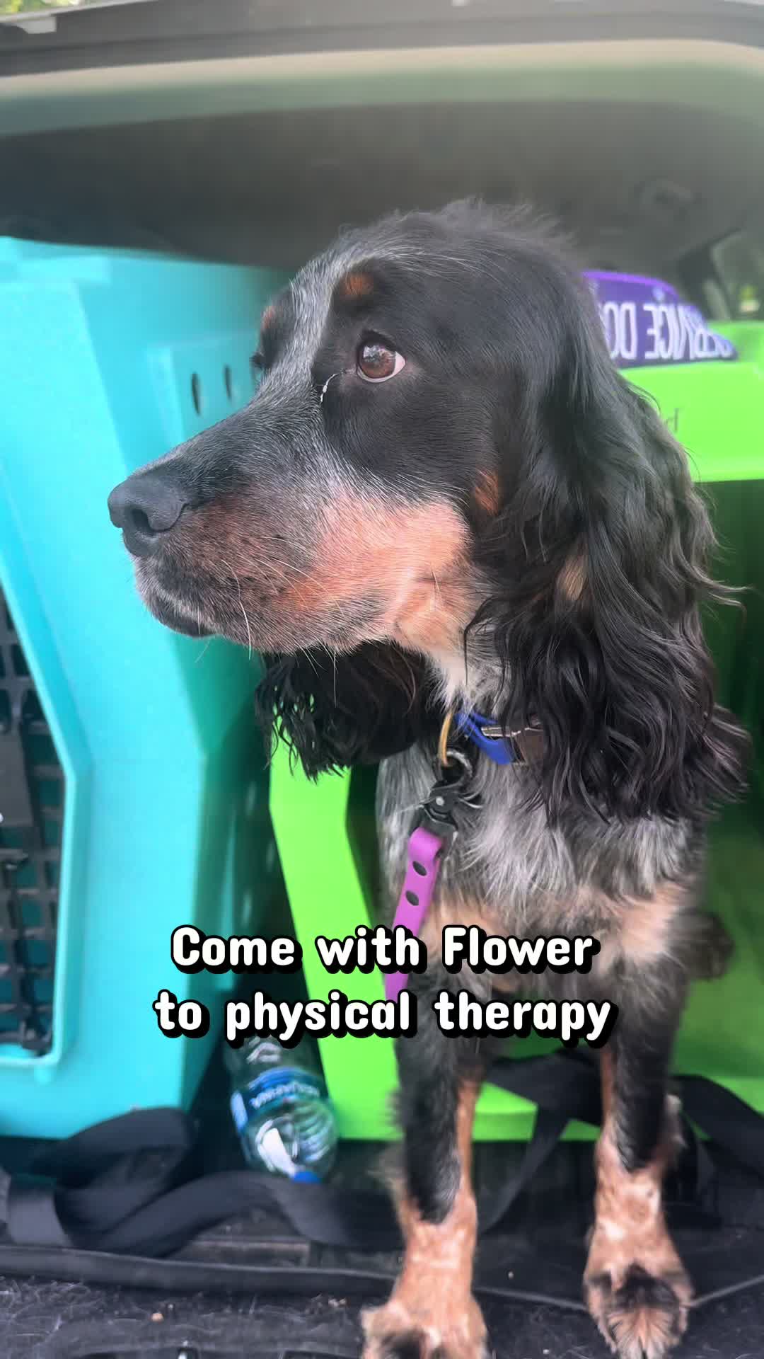 @Kristyn and Astrid 🎗️