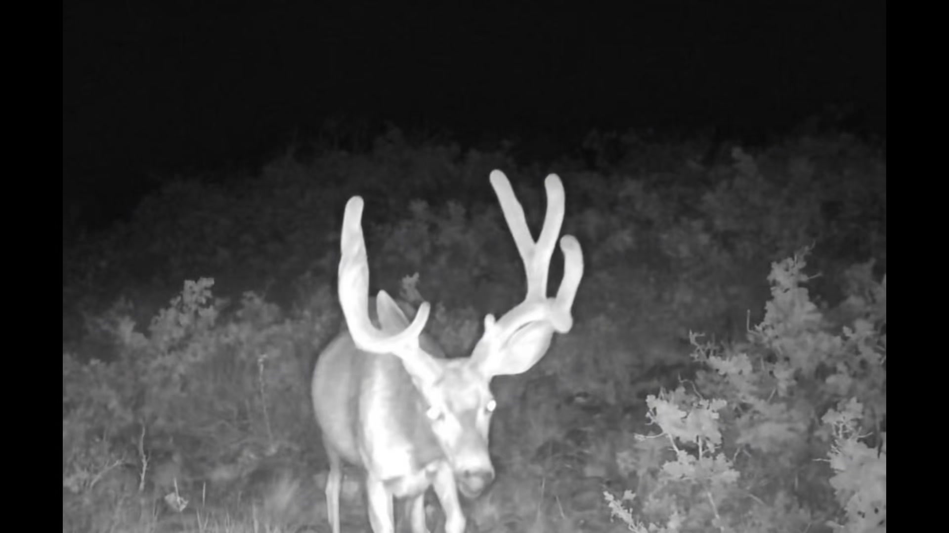 @Nielsen Brothers Outdoors
