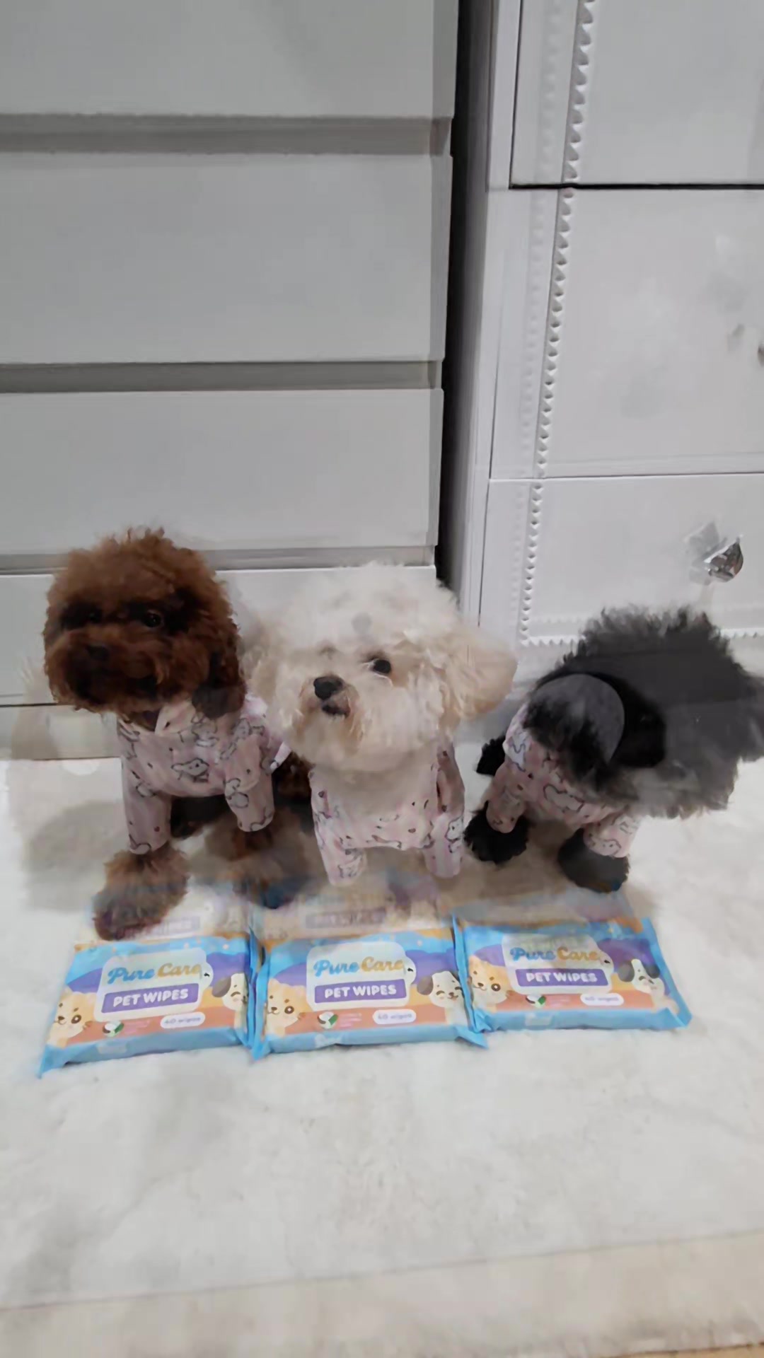 @Maisy Mouse 🐩🐾❤️🇵🇭