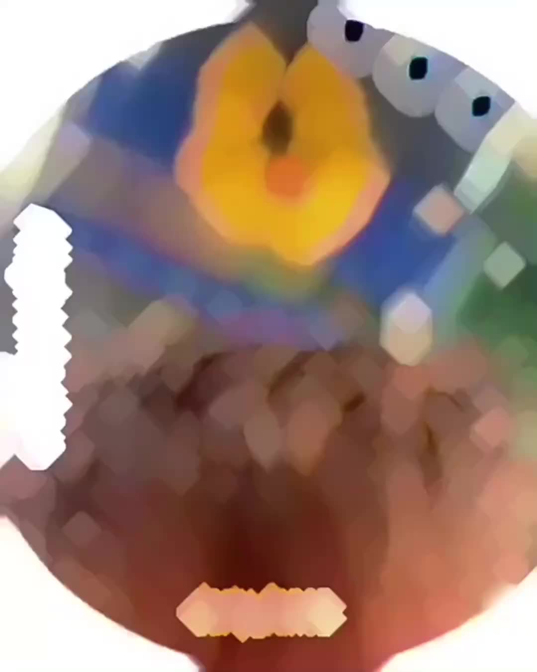 @🪴𝔻𝕝𝕄𝔸|𝔽𝔸ℕ💓𖠰