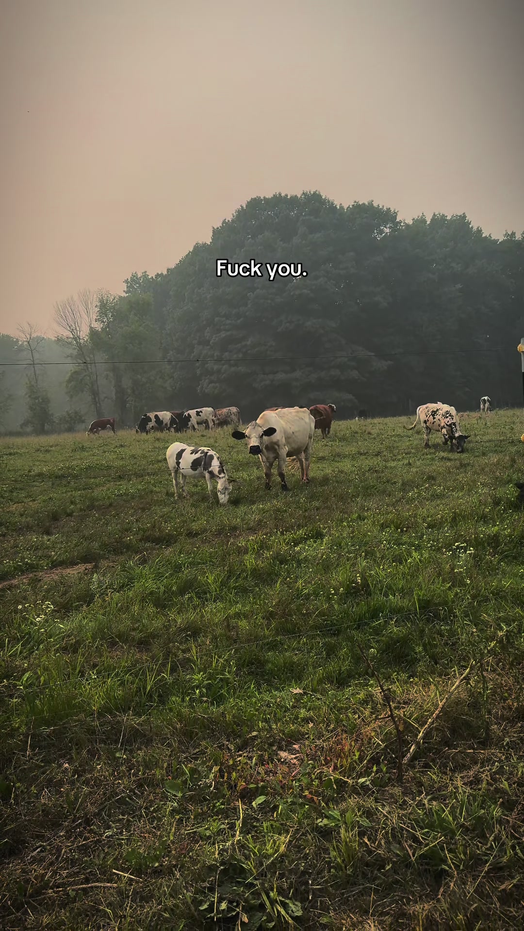 @Fuck you