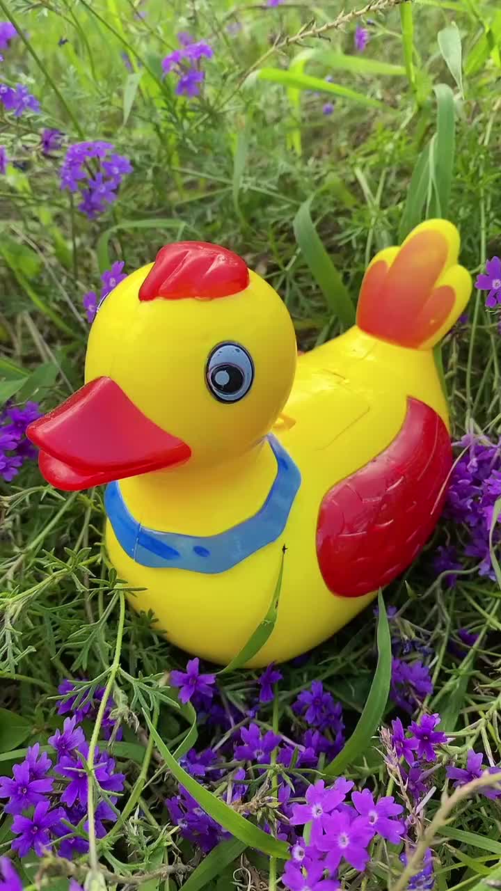 @TinnyDuckTV