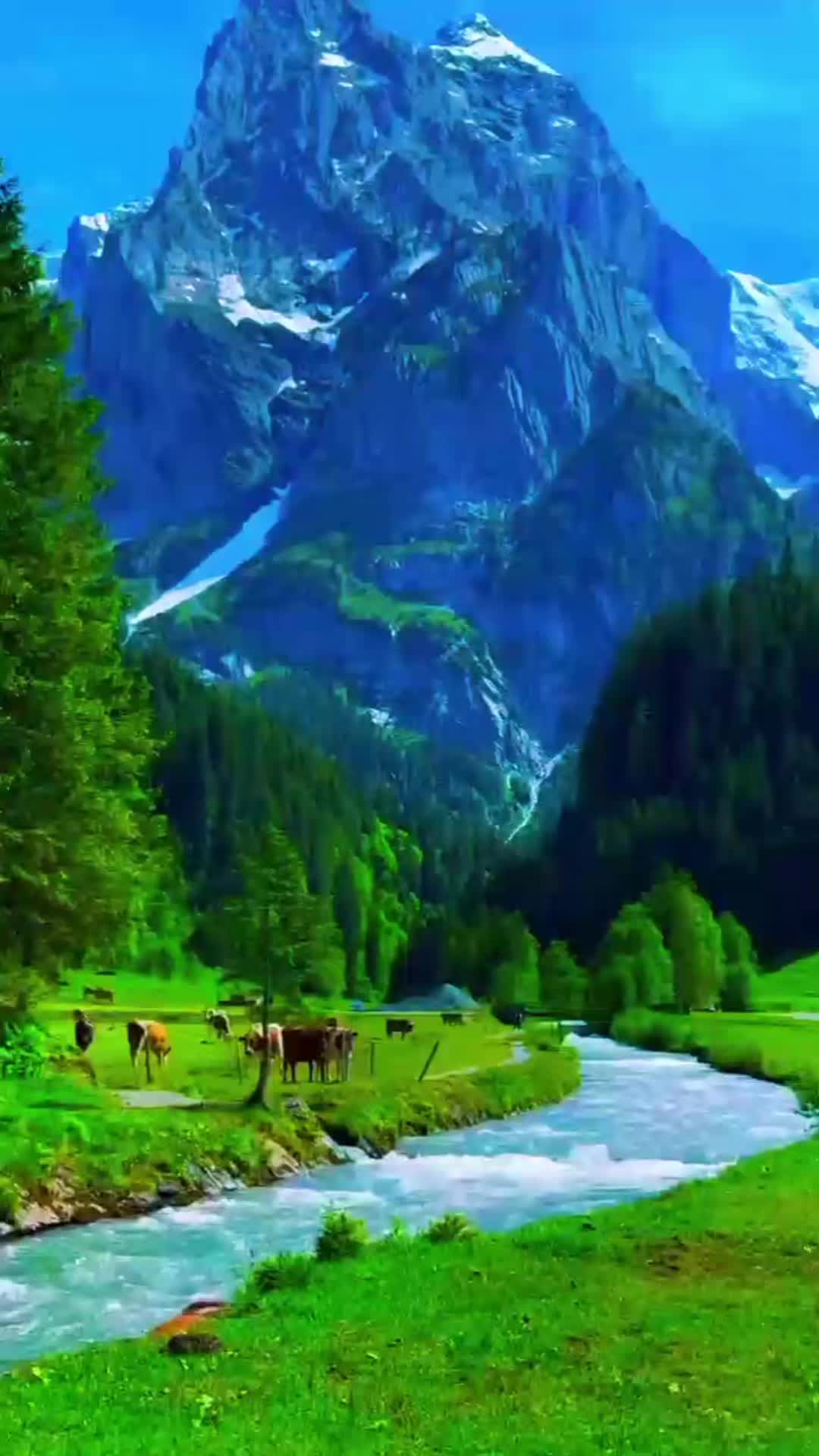 @Dreamer.Lady