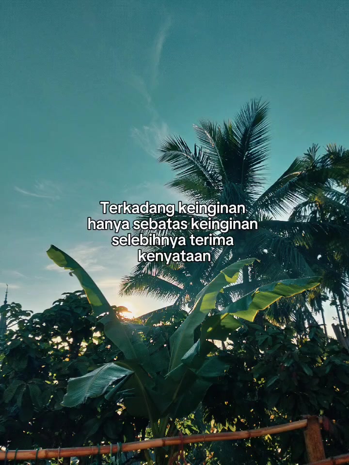 @Miii