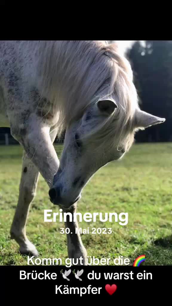 @Sally_Freyja