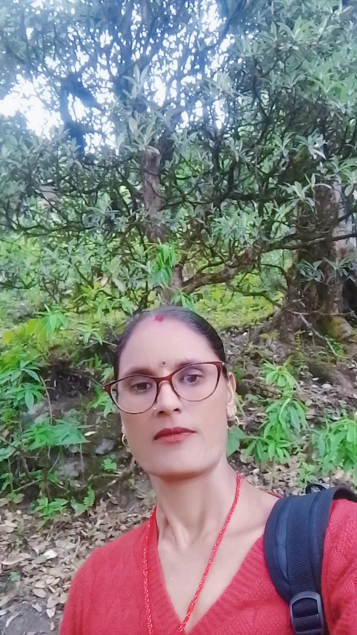 @rajudevkota310