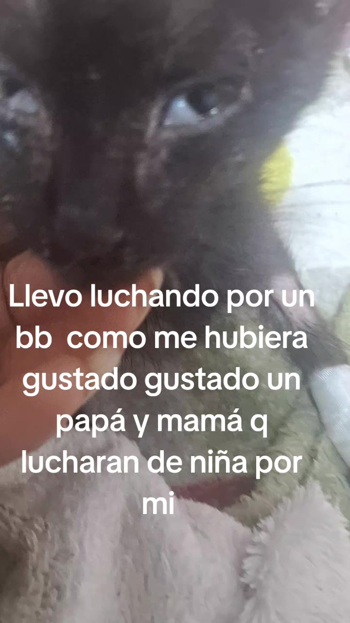 @Brillitos y Brillitos