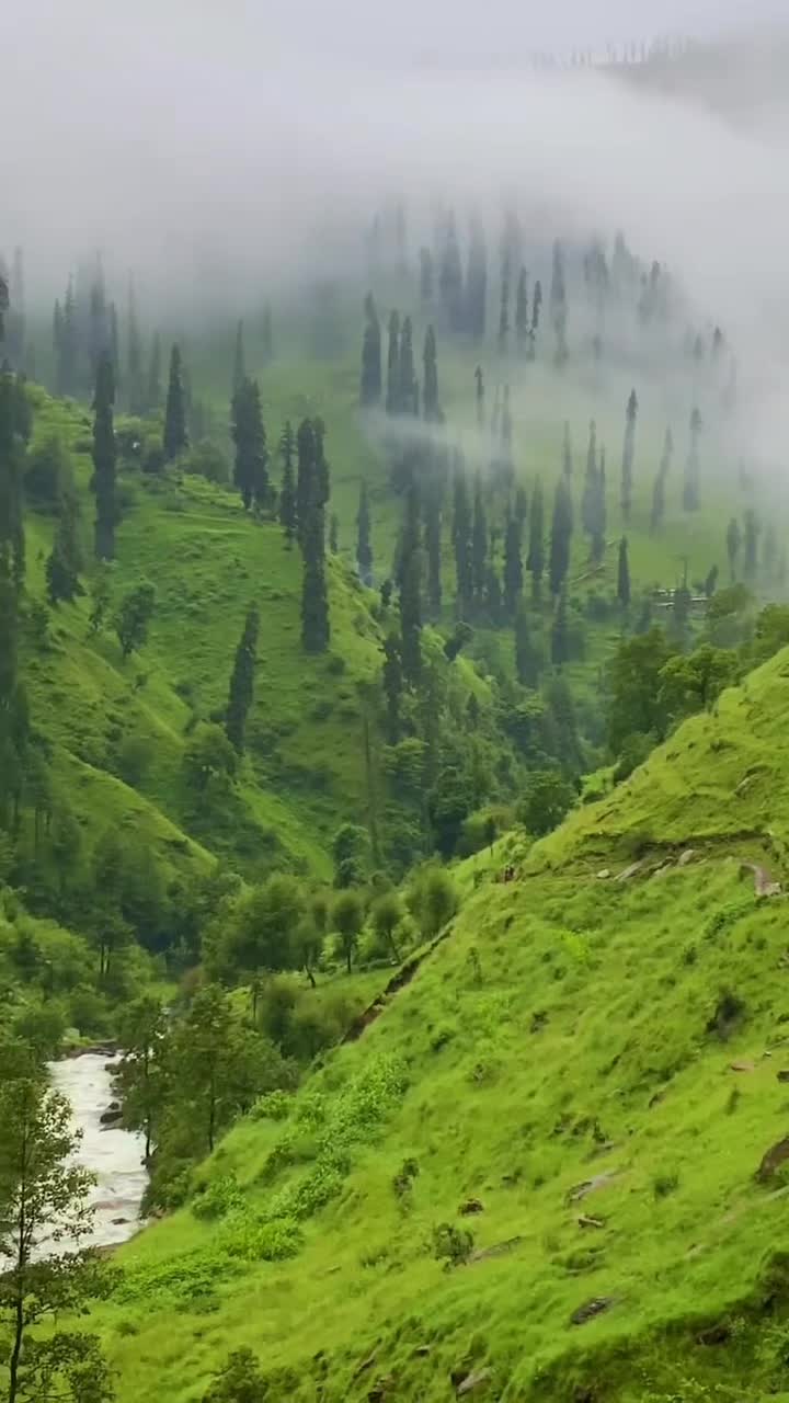 @💫❤️🔥دل کا بادشاہ❤️🔥💫