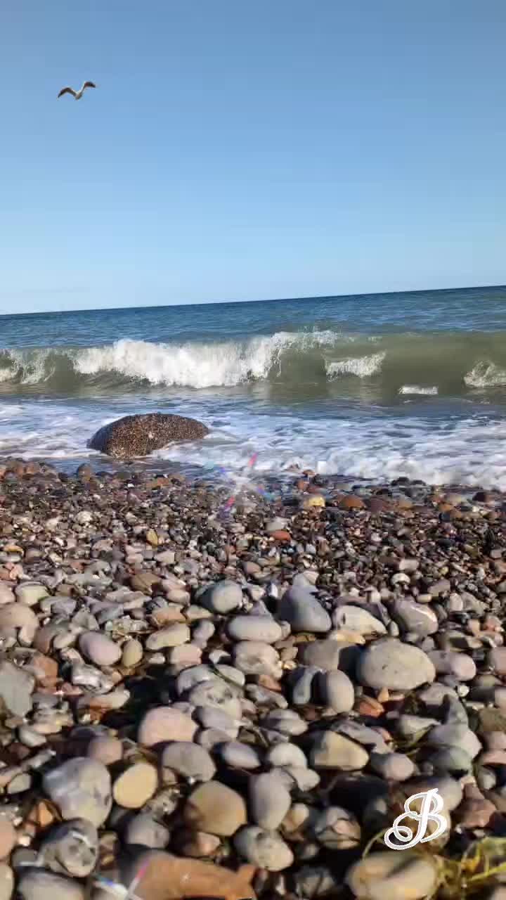 @Bea ☀️