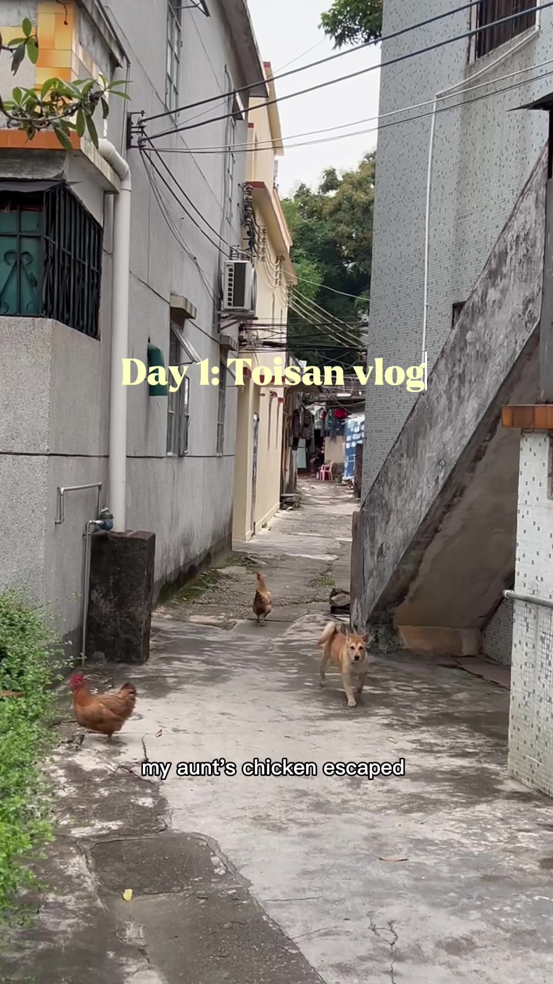 @magmagcooks
