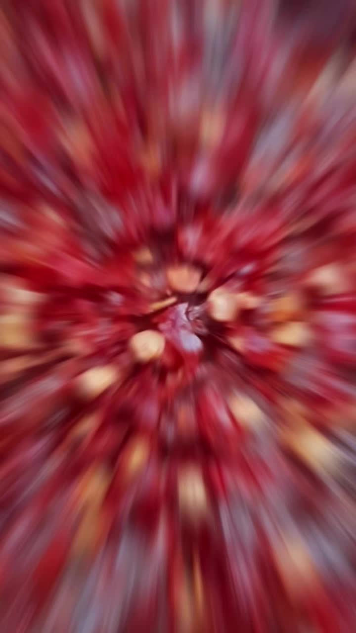 @Tik TokerKan Na