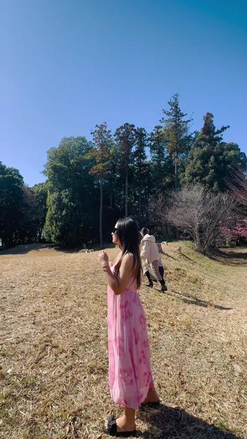 @🦋