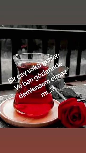 @BİR SER&Ccedil;ENİN G&Ouml;ZYAŞ🕊️🕊️🕊️