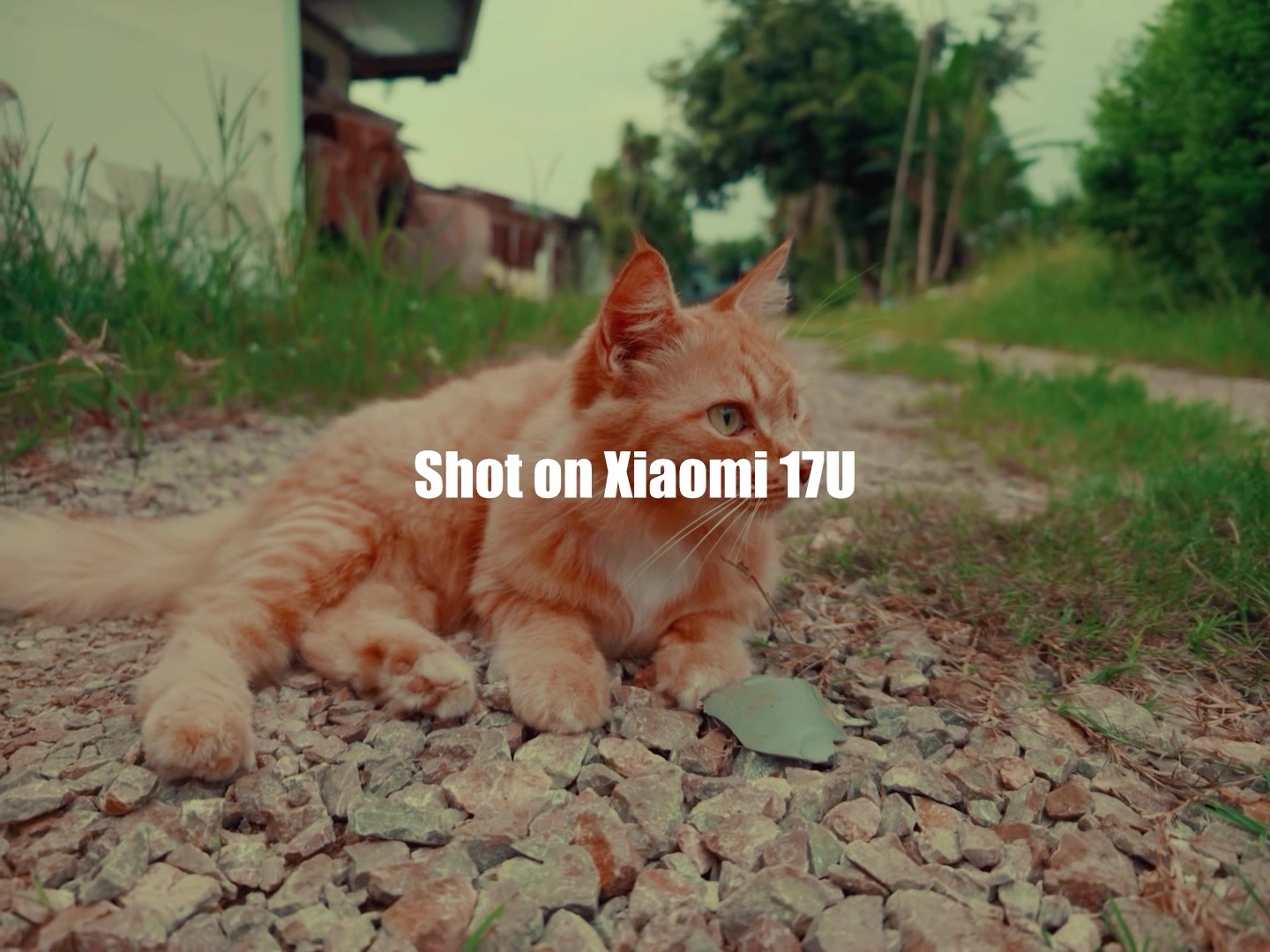 @kiangkaifilm