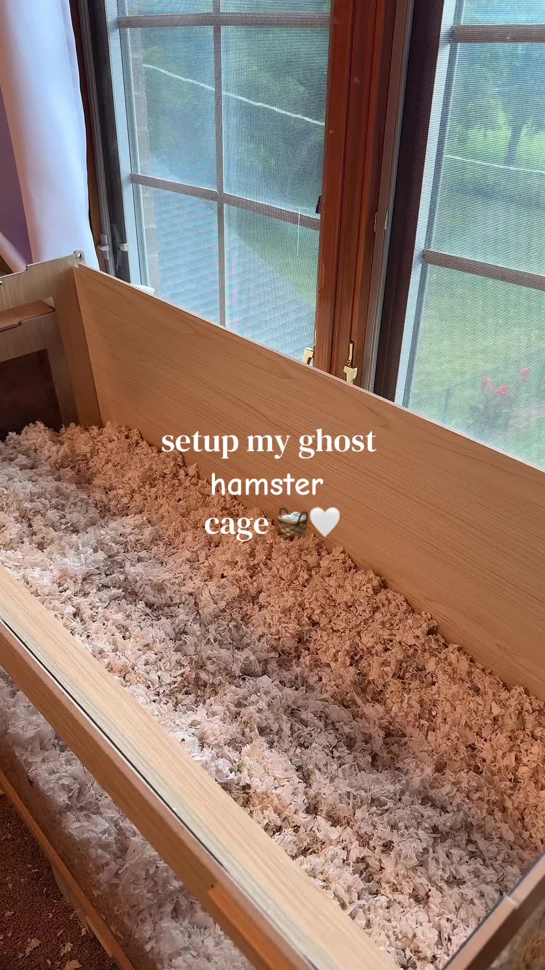 @alexa🤍🐾