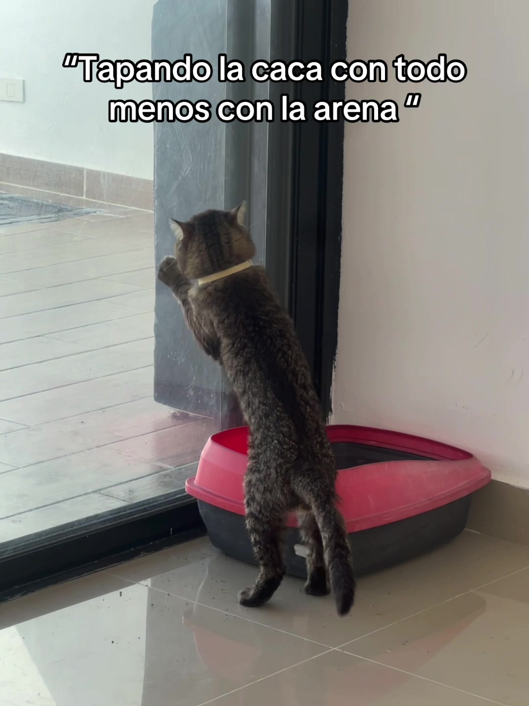 @Smailin Paola