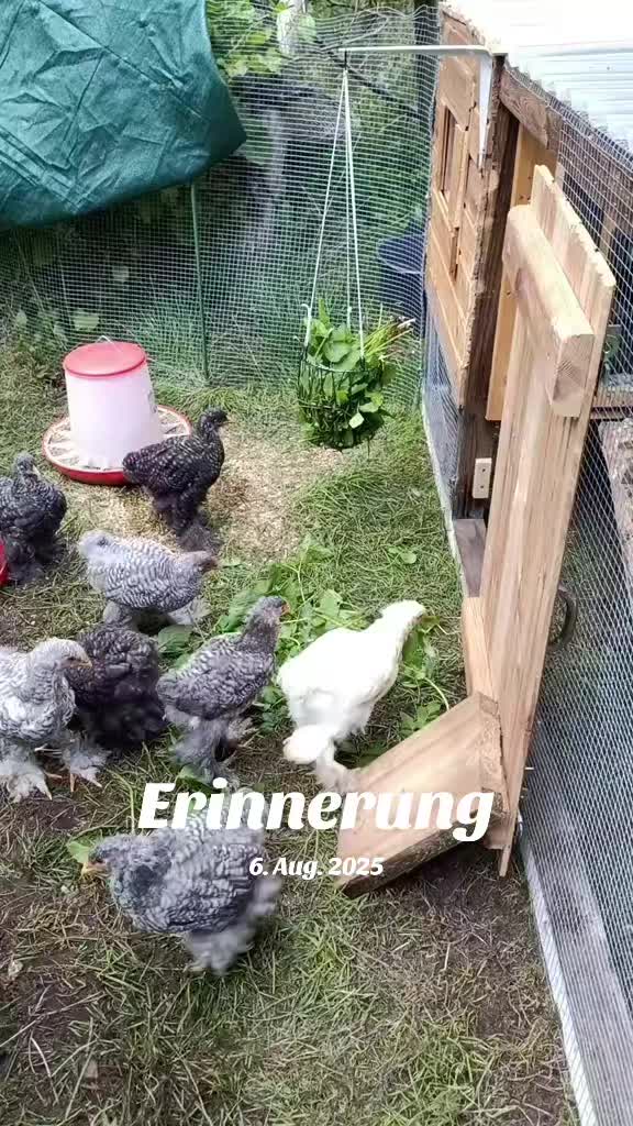 @DieSelbstvOrsorger