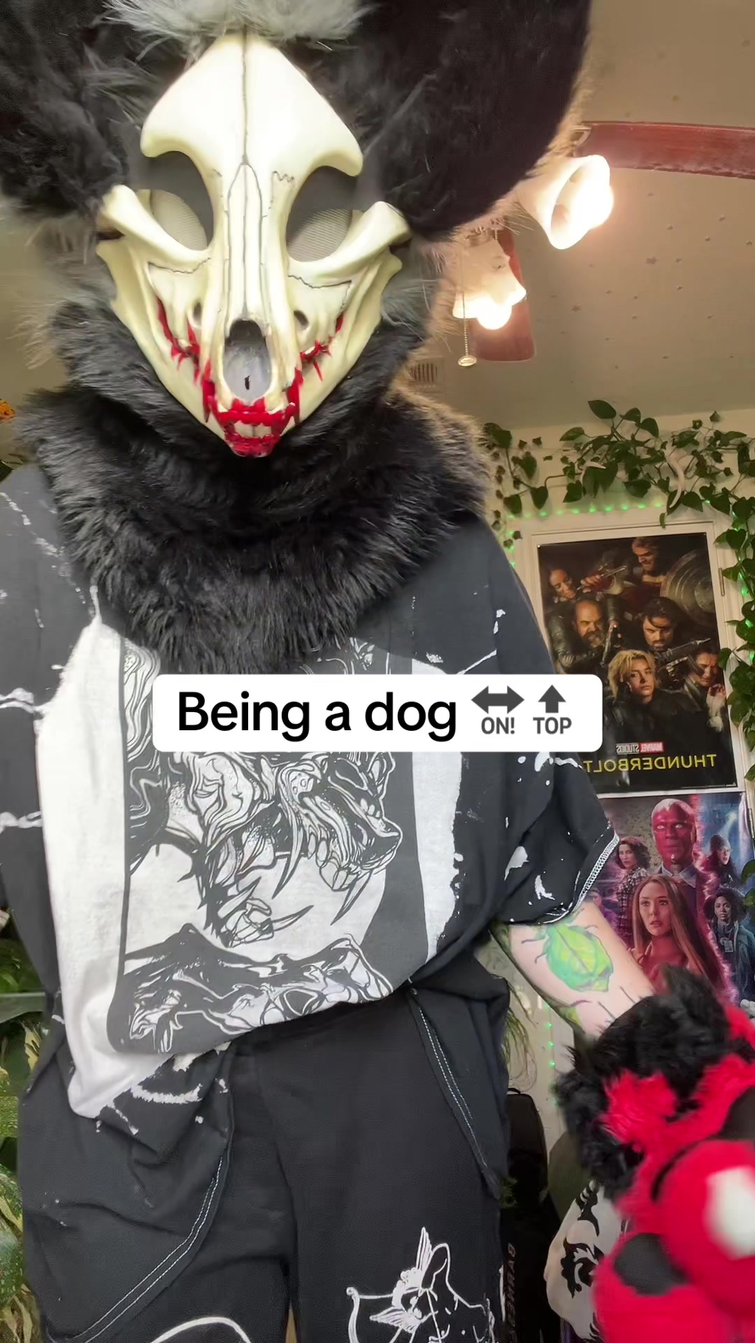 @aethertheskulldog🔜LSFC