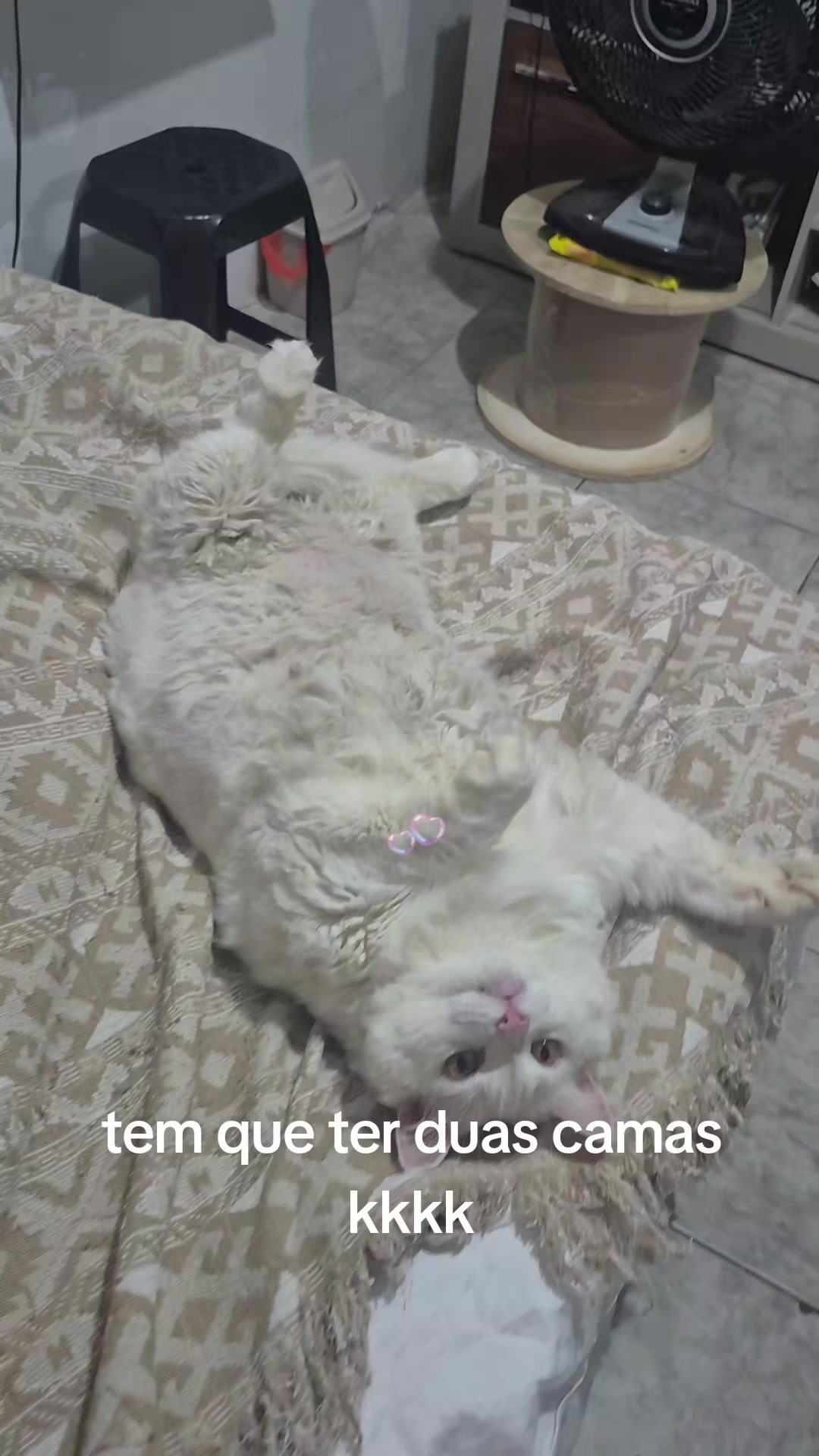 @Anne Vasconcelos