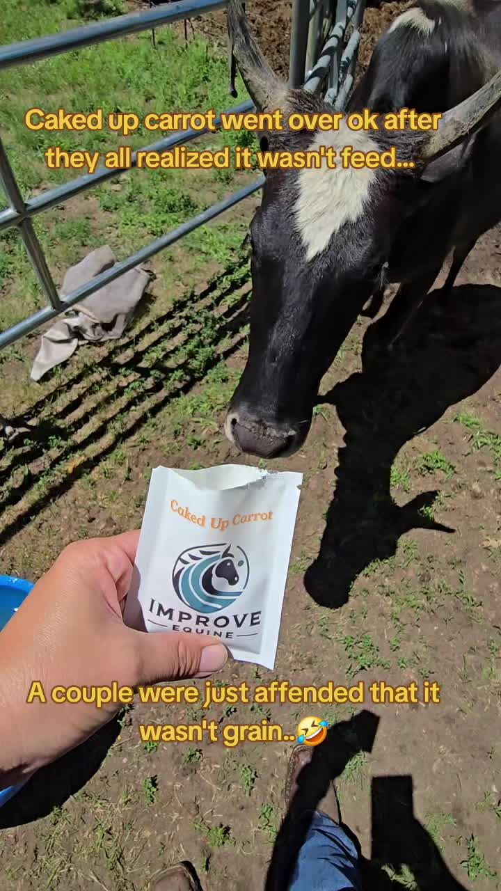 @Small Town Farm LLC