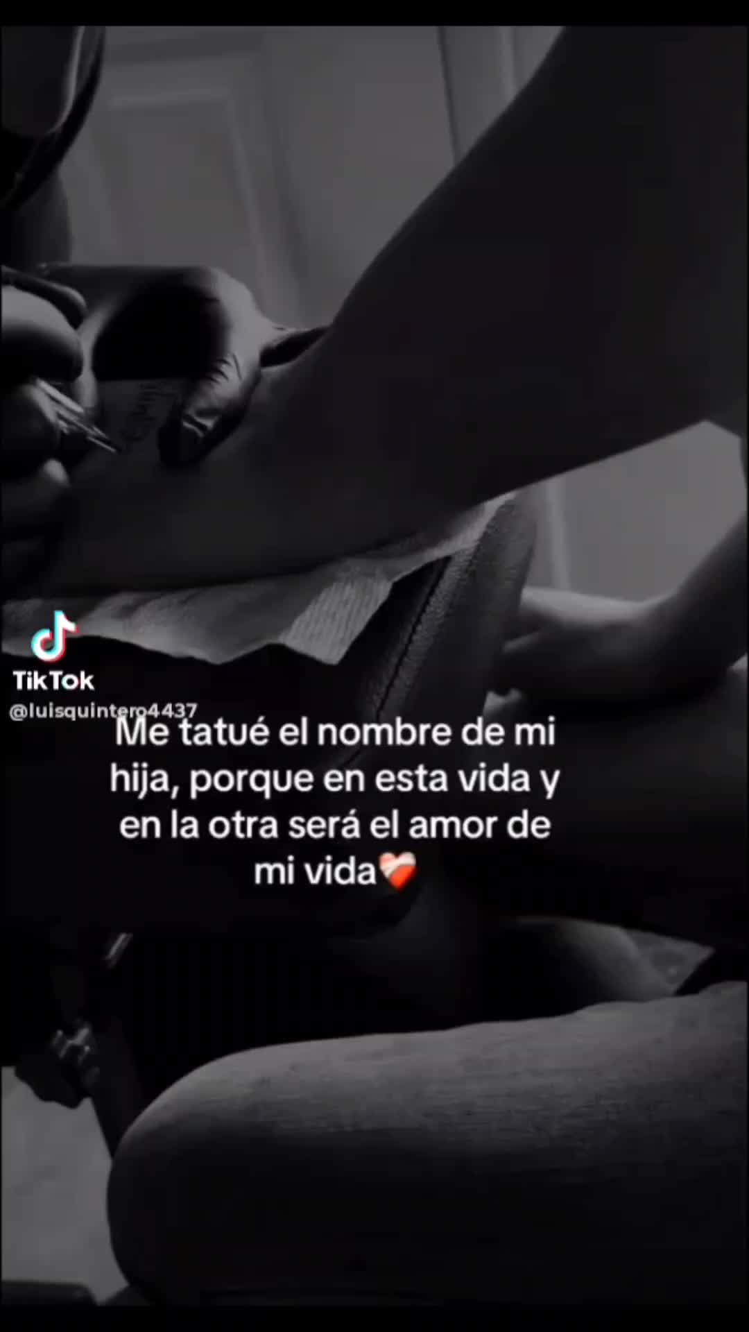 @wladimir