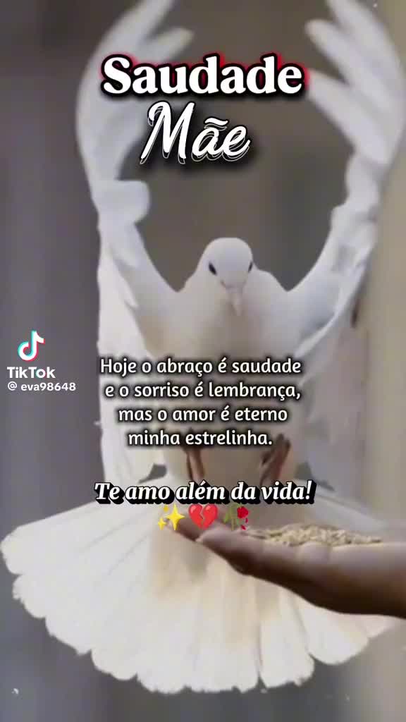 @Rute