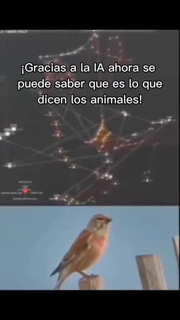 @Emiliano🗣️🔥