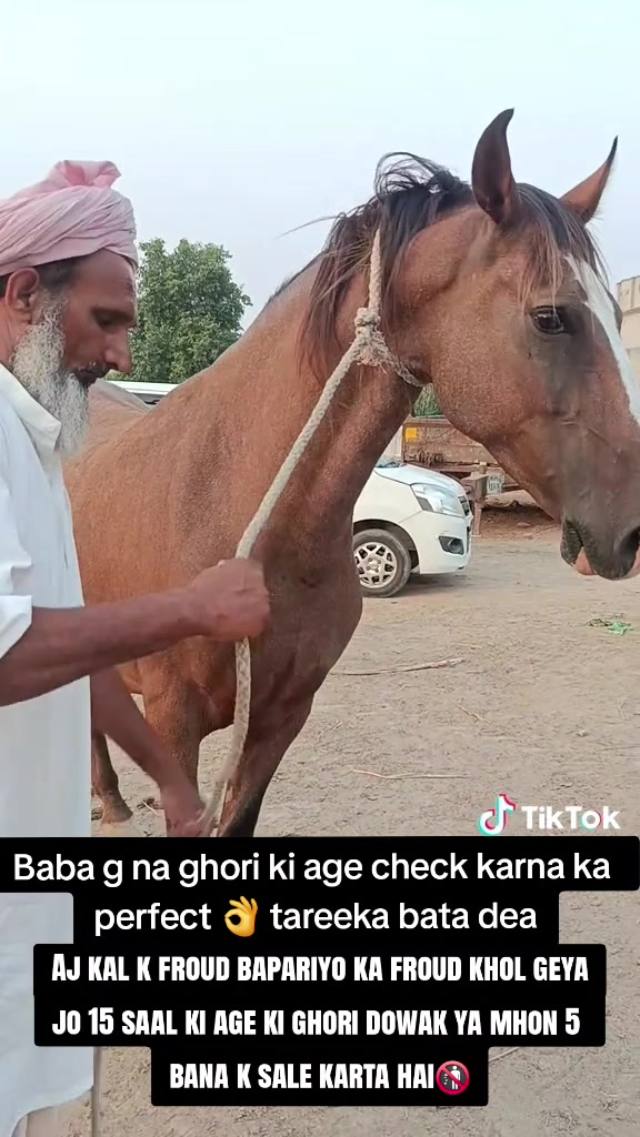 @hamara village sipyala🐴🐎🇵🇰
